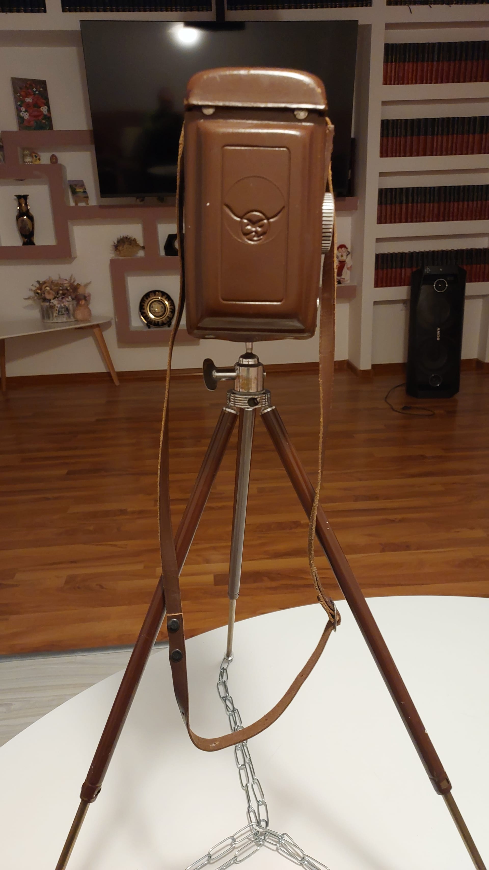 Seagull cu trepied, stare excelenta